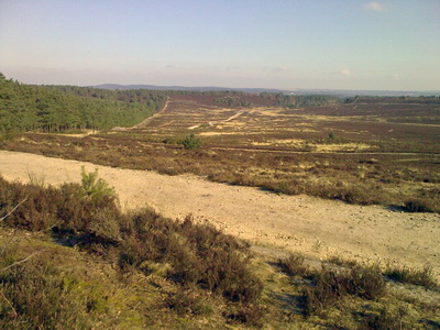 07032010411_e_resize