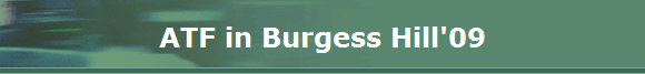 ATF in Burgess Hill'09