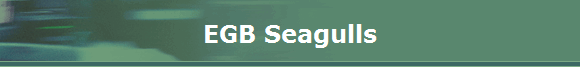 EGB Seagulls