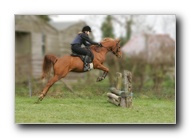 tn_KW0I6507croppedBlurred